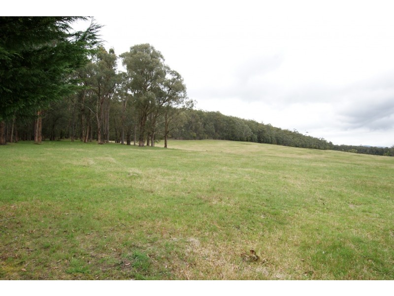 1700 Woods Point Road, Mcmahons Creek VIC 3799