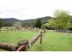 1700 Woods Point Road, Mcmahons Creek VIC 3799