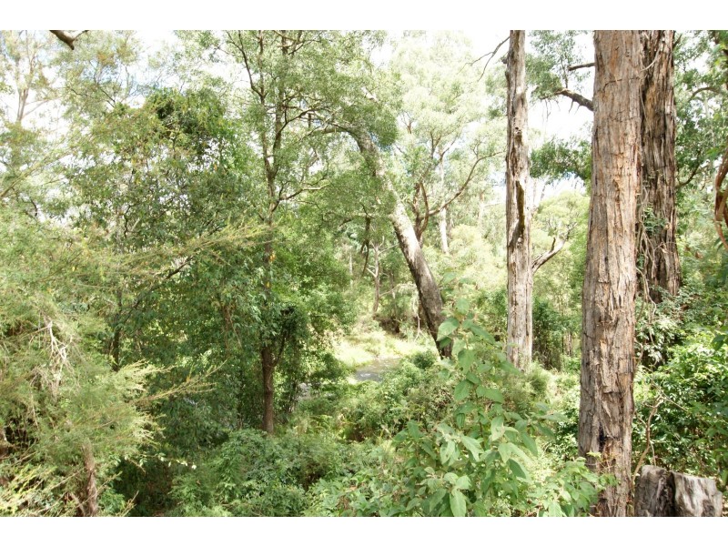 19 River Road, Millgrove VIC 3799