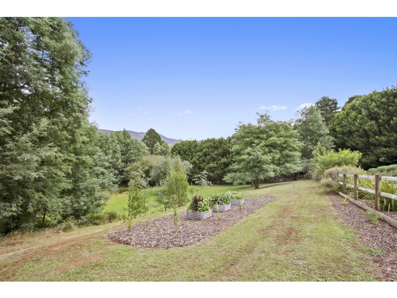 40 McConachys Road, Three Bridges VIC 3797