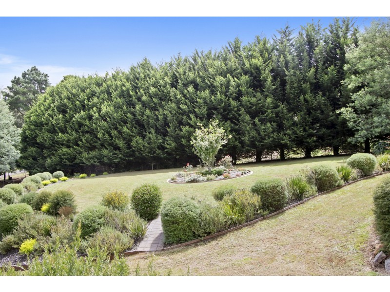 40 McConachys Road, Three Bridges VIC 3797