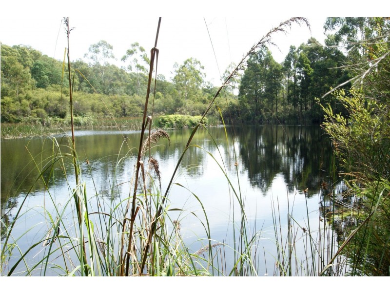 1555 Gembrook-Launching Place Road, Beenak VIC 3139