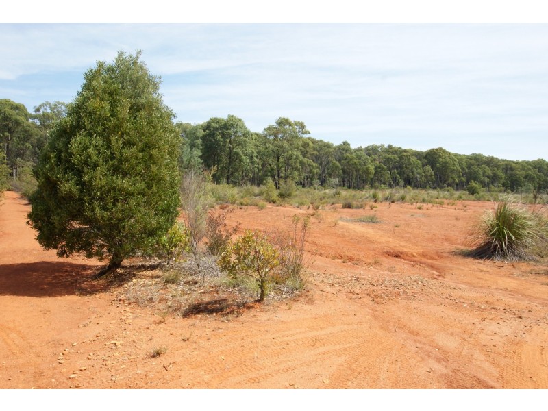 1555 Gembrook-Launching Place Road, Beenak VIC 3139