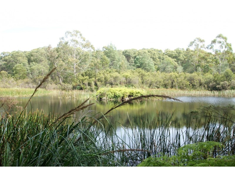 1555 Gembrook-Launching Place Road, Beenak VIC 3139