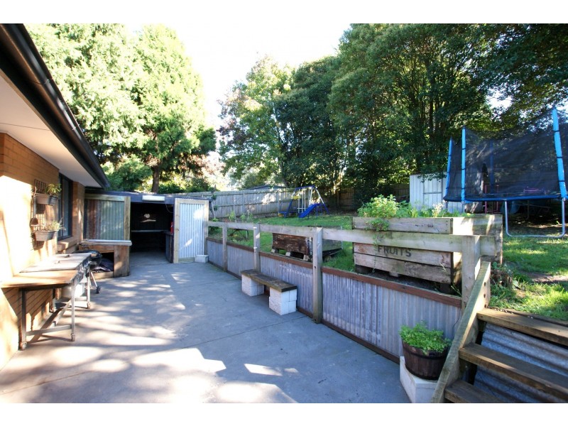 3 Patrick Street, Millgrove VIC 3799