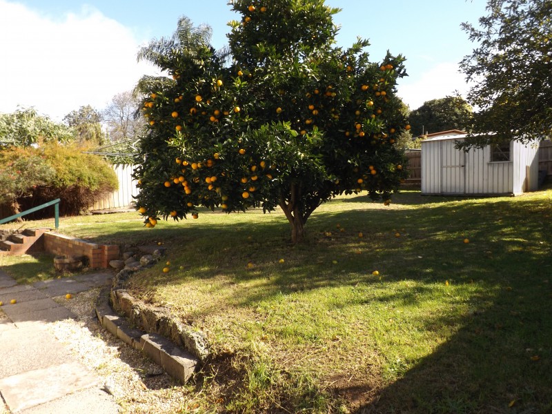 29 Carroll Avenue, Millgrove VIC 3799