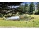 43 Monbulk Seville Road, Seville VIC 3139