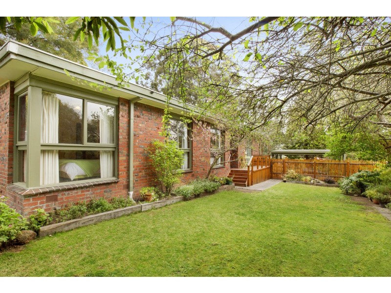 29 Waterloo Street, Heathmont VIC 3135