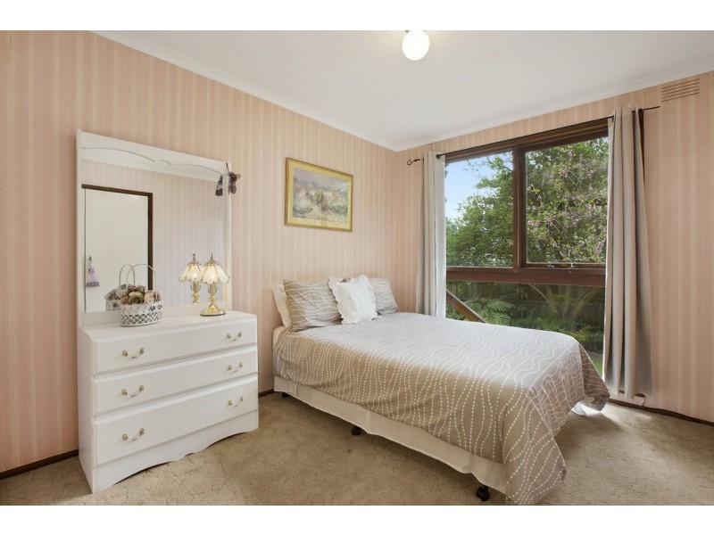 29 Waterloo Street, Heathmont VIC 3135