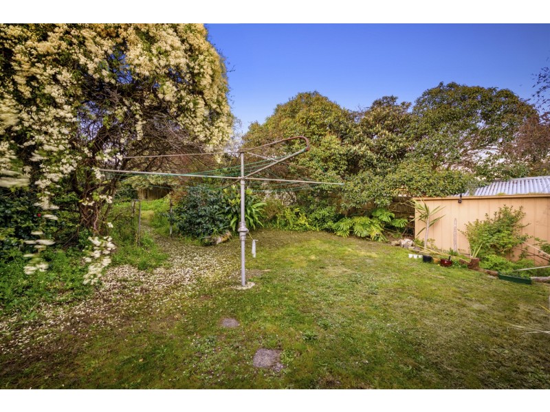 3 Begonia Street, Box Hill South VIC 3128