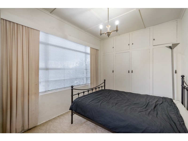 3 Begonia Street, Box Hill South VIC 3128