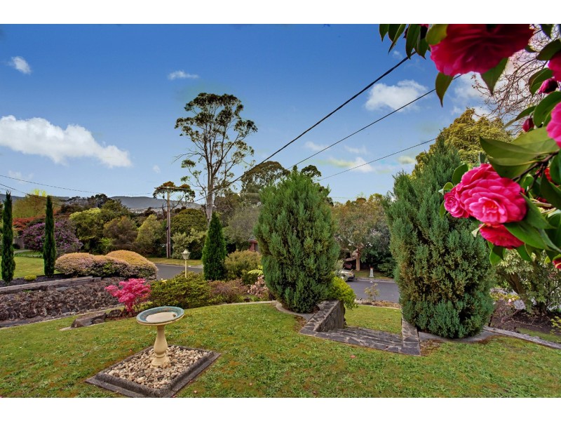 35 Pinewood Avenue, Ringwood East VIC 3135