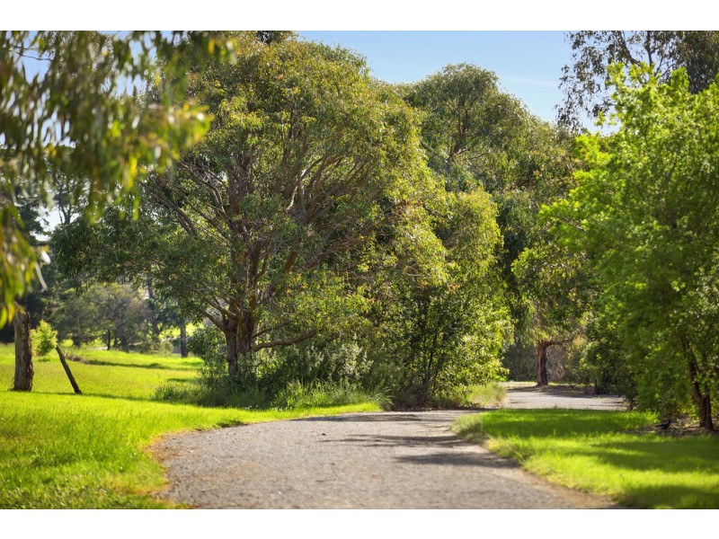 11/14-18 Springvale Road, Nunawading VIC 3131