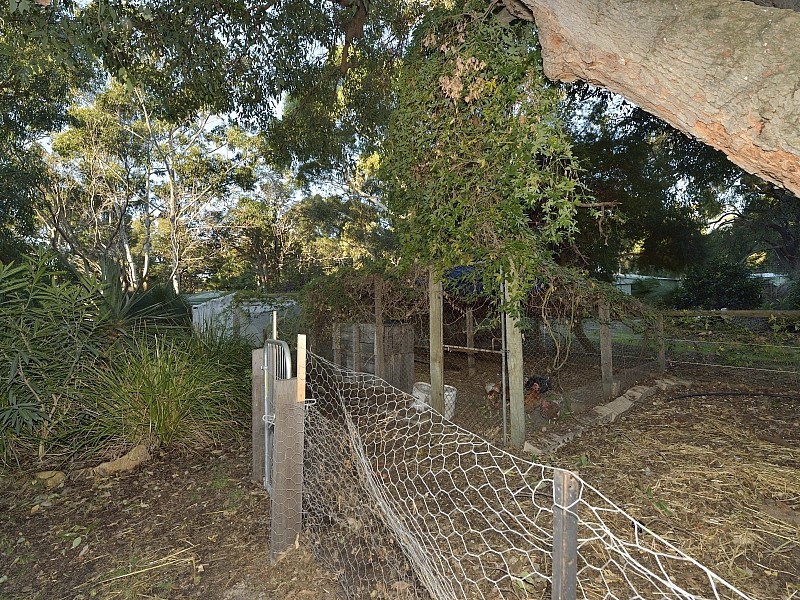 16 Honeytree Place, Falcon WA 6210