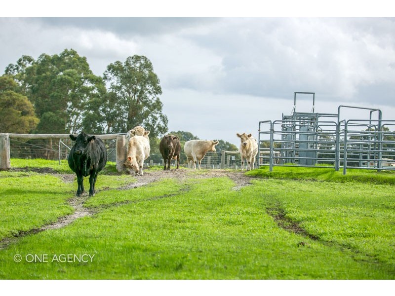 161 Somers Road, Coolup WA 6214