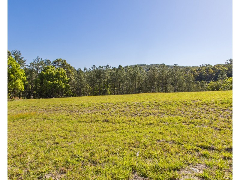 55 William Road, Eumundi QLD 4562