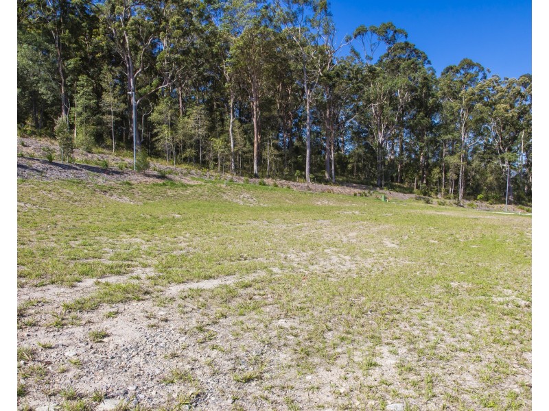 55 William Road, Eumundi QLD 4562