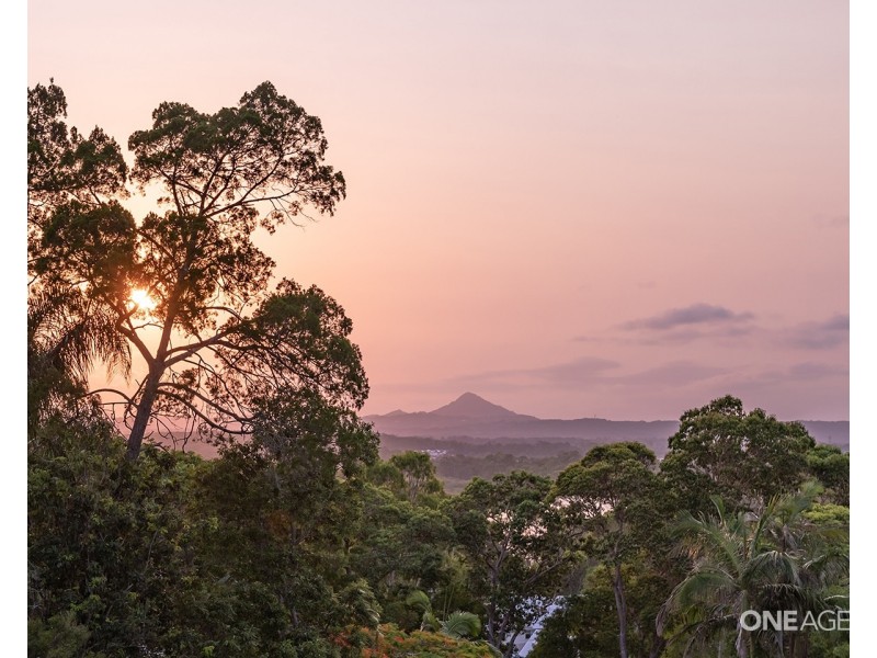 25 Currawong Street, Noosa Heads QLD 4567