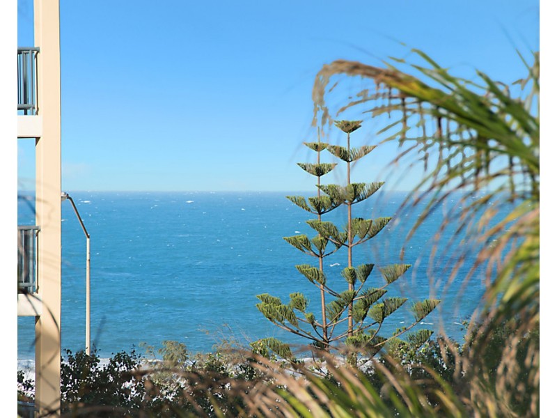 433/21 Wirraway Street, Alexandra Headland QLD 4572