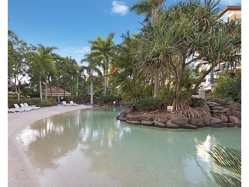 433/21 Wirraway Street, Alexandra Headland QLD 4572