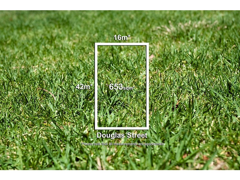 17 Douglas Street, Blackburn North VIC 3130