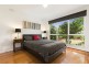 217 Springfield Road, Blackburn North VIC 3130