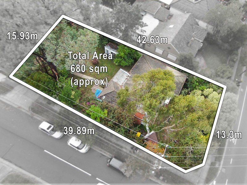 173 Springfield Road, Blackburn North VIC 3130