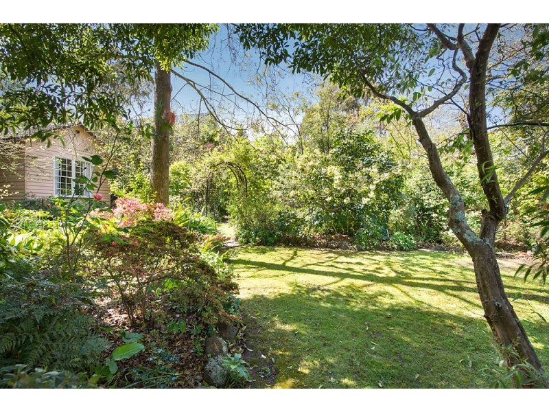 19 Wellington Avenue, Blackburn VIC 3130