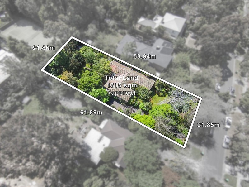 19 Wellington Avenue, Blackburn VIC 3130