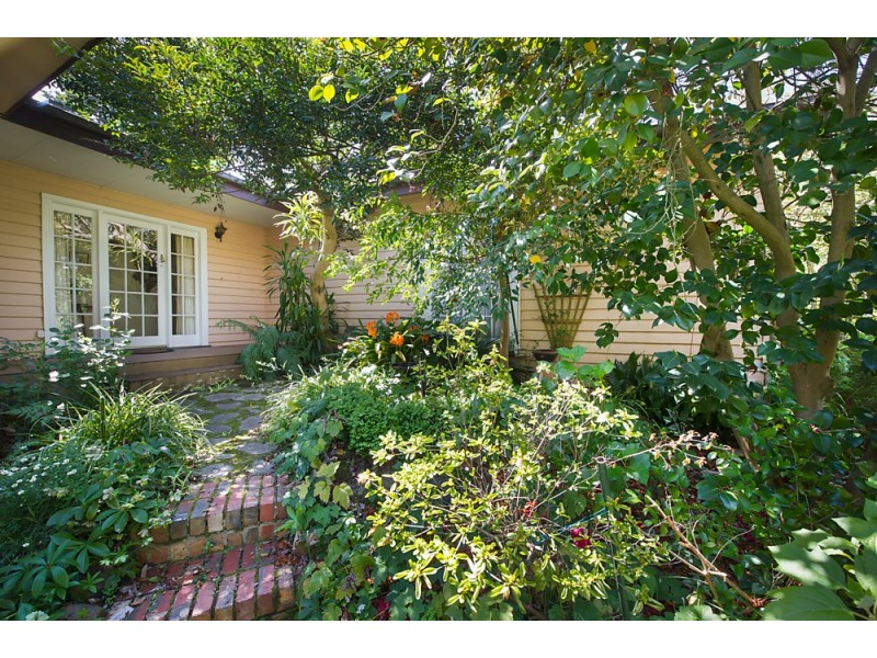 19 Wellington Avenue, Blackburn VIC 3130