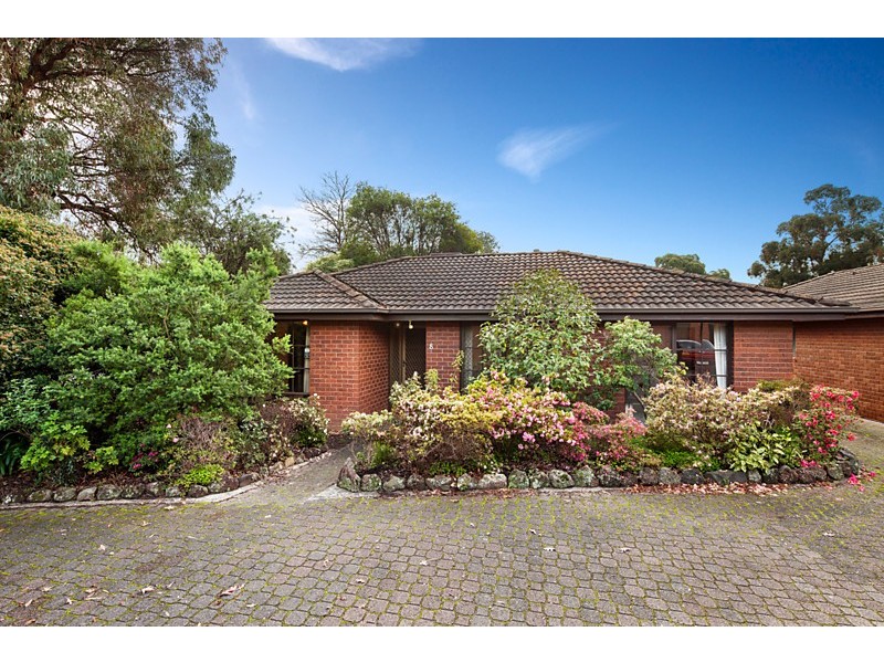 8/91 Surrey Road, Blackburn North VIC 3130
