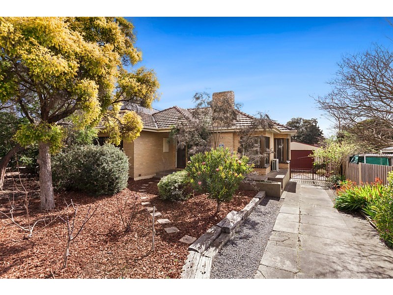 13 Jenner Street, Blackburn South VIC 3130