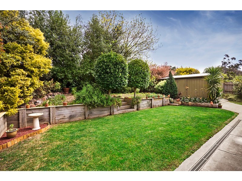 538 Springvale Road, Forest Hill VIC 3131