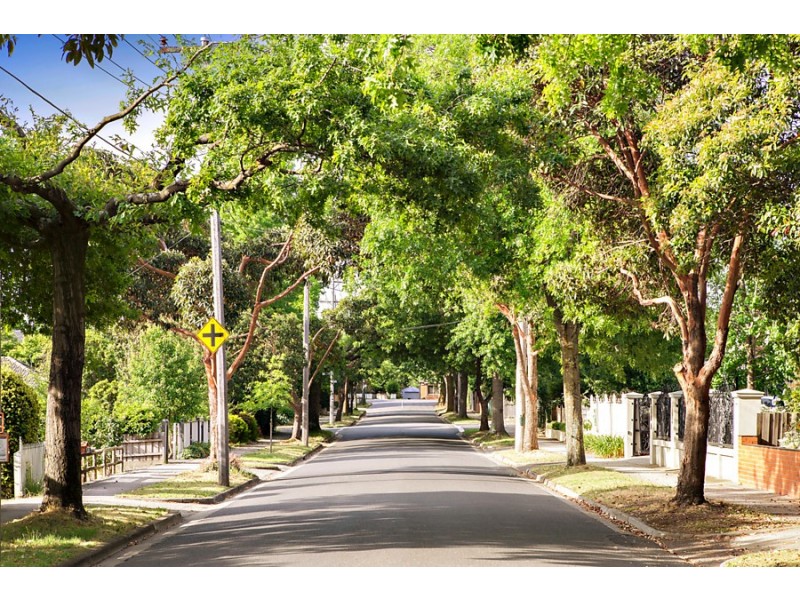17 Goodwin Street, Blackburn VIC 3130