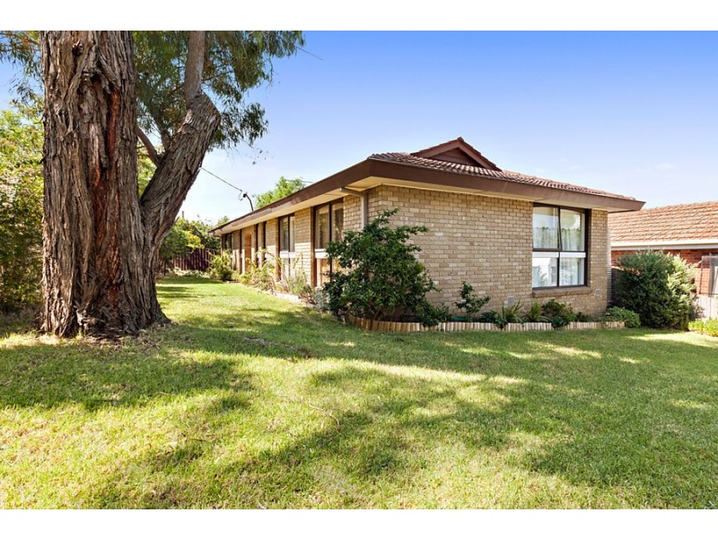 297A Springfield Road, Nunawading VIC 3131