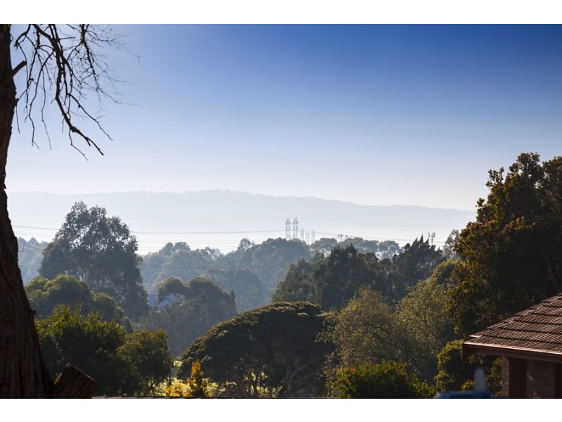 8 Alderbrook Avenue, Mulgrave VIC 3170