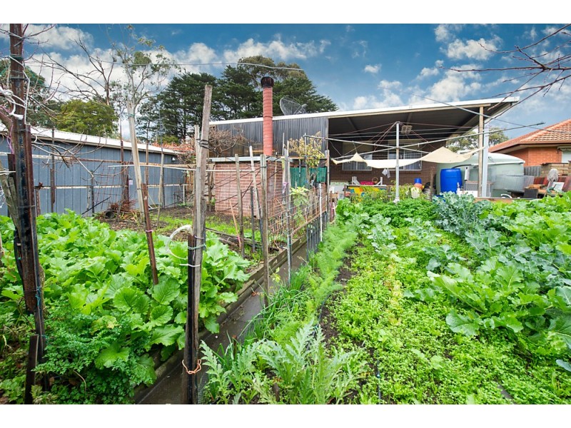 257 – 259A Whitehorse Road, Blackburn VIC 3130