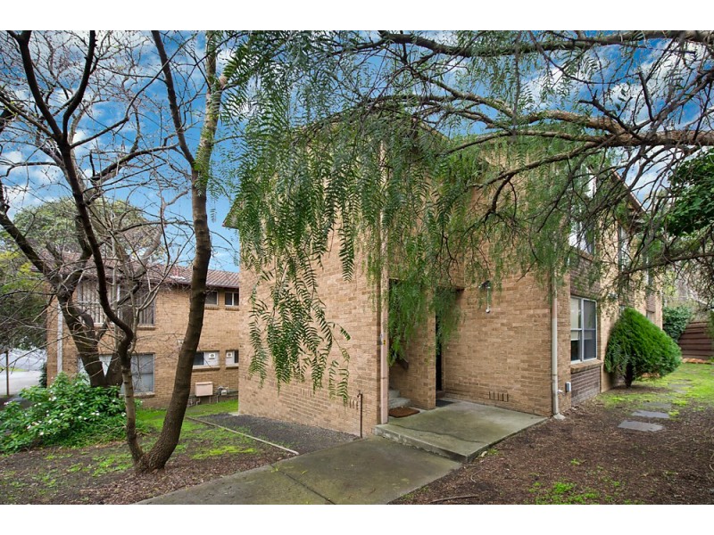 3/596-598 Middleborough Road, Blackburn North VIC 3130