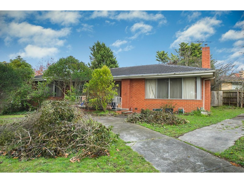 48-52 Whitehorse Road, Blackburn VIC 3130