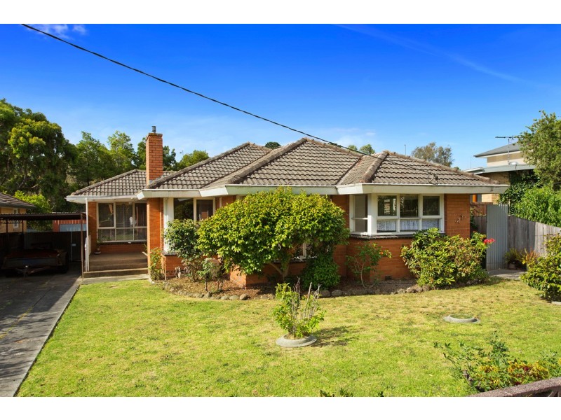 17 Douglas Street, Blackburn North VIC 3130