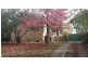 6 Nielsen Avenue, Nunawading VIC 3131