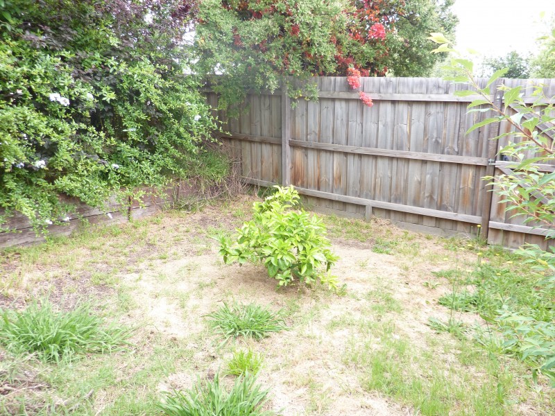 1/203 Highbury Road, Burwood VIC 3125