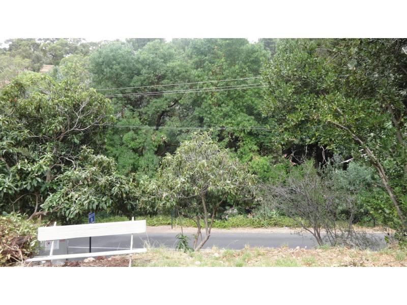 43 Waterfall Gully Road, Beaumont SA 5066