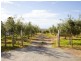 36 Button Road, Aldinga Beach SA 5173