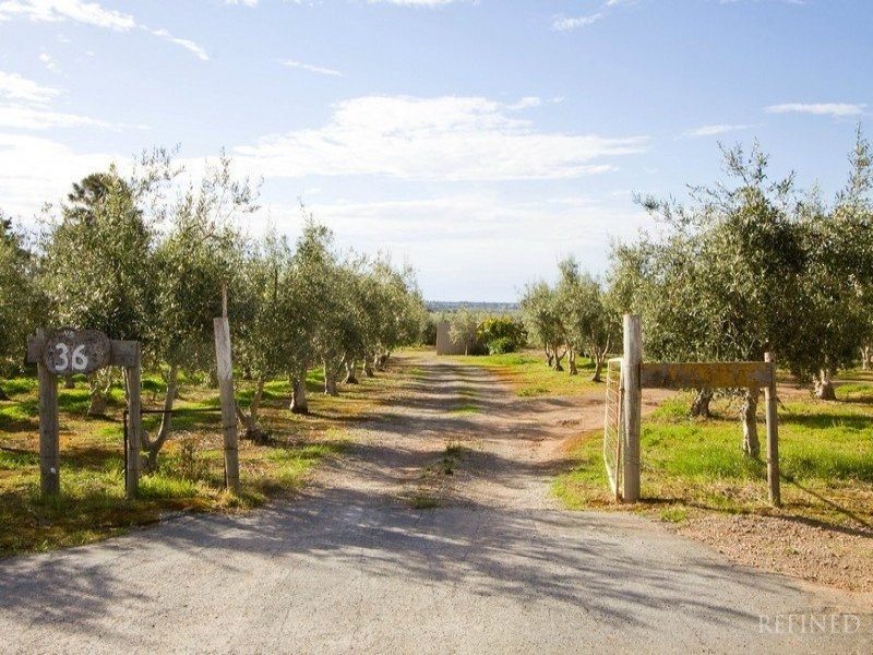 36 Button Road, Aldinga Beach SA 5173