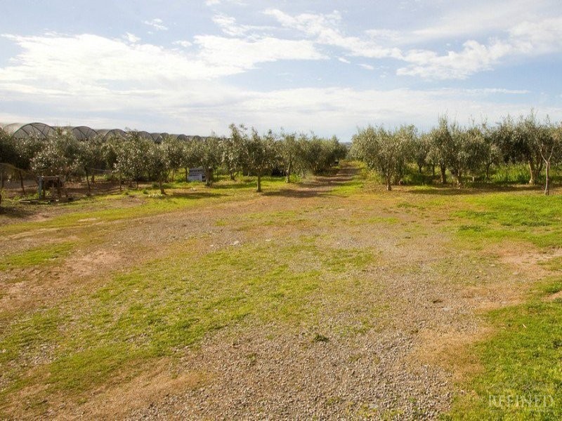 36 Button Road, Aldinga Beach SA 5173