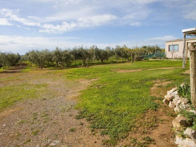 36 Button Road, Aldinga Beach SA 5173