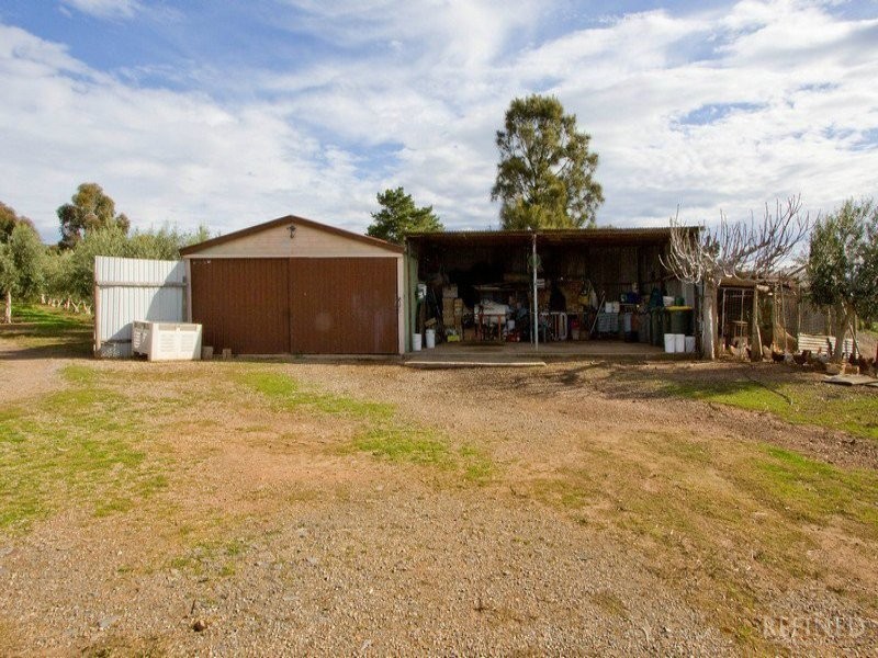36 Button Road, Aldinga Beach SA 5173
