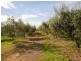 36 Button Road, Aldinga Beach SA 5173