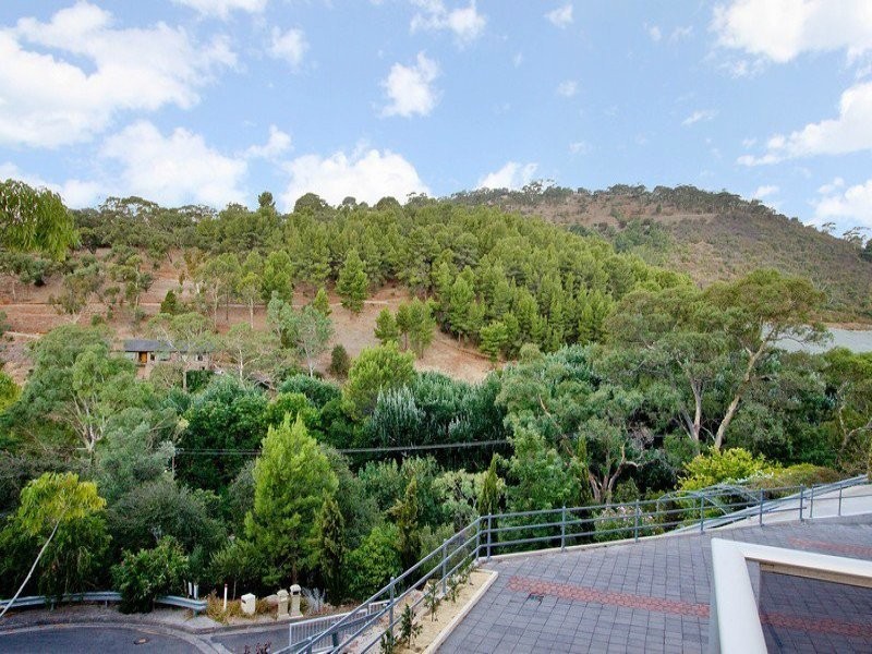 24 Robinson Avenue, Beaumont SA 5066